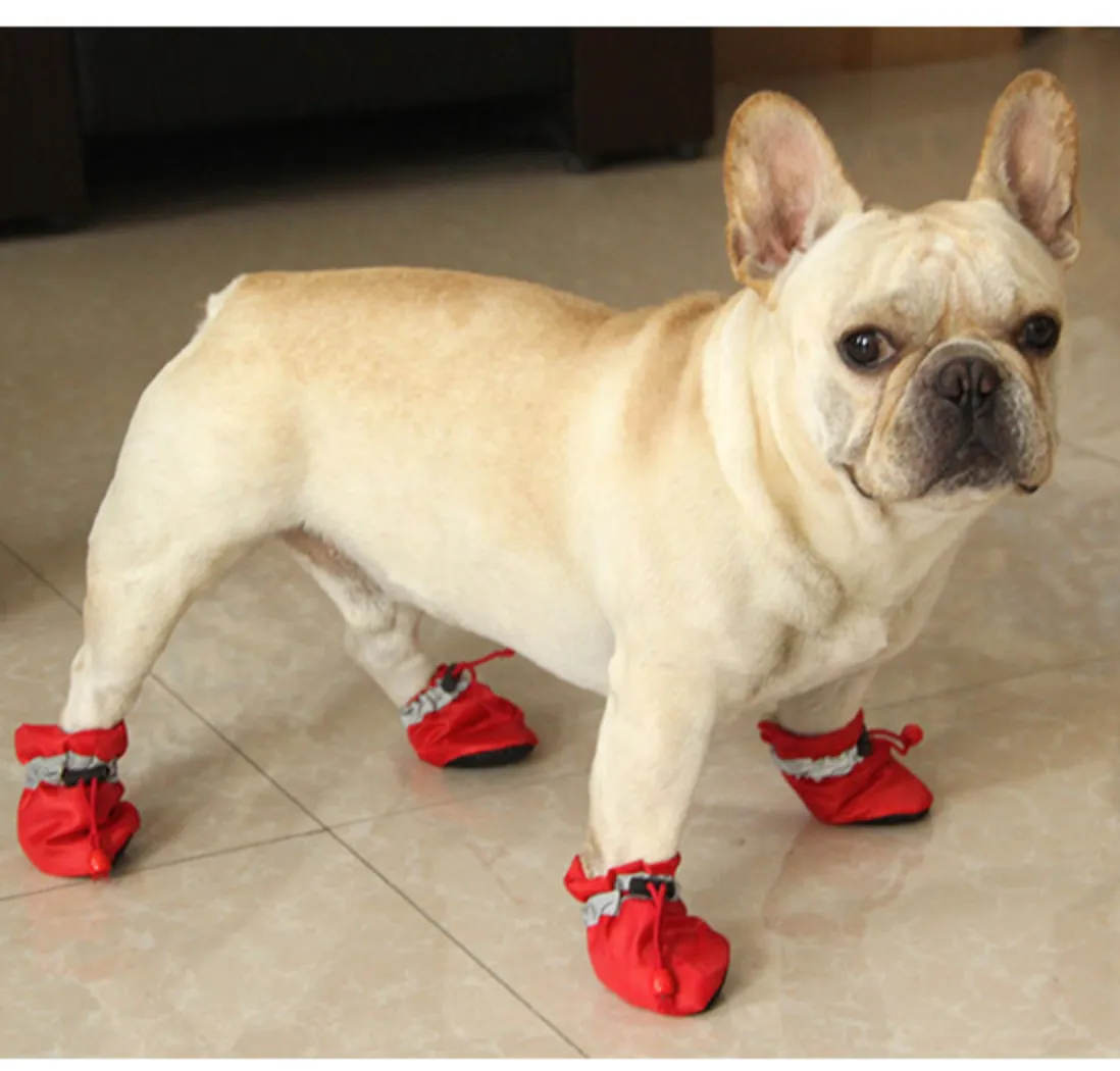 Warm Boots for frenchies (WS029)