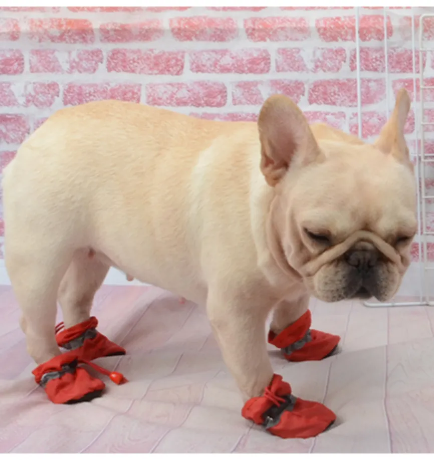 Warm Boots for frenchies (WS029)