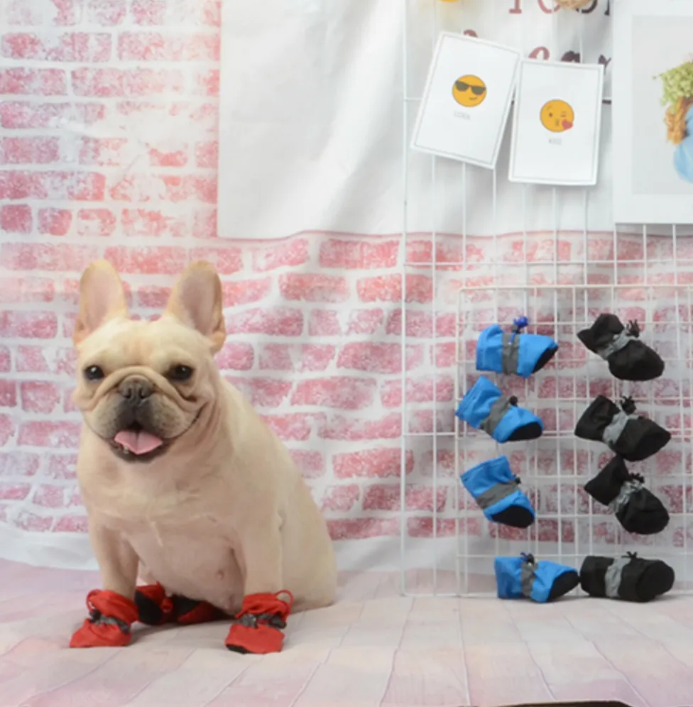 Warm Boots for frenchies (WS029)